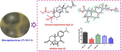 Two New Diterpenoids from Biscogniauxia sp. and Their Activities